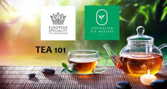 best-Japanese-green-tea-reviews